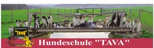 Logo Hundeschule Tava
