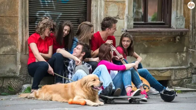 Hunde als soziale Brücken: Jugendliche und das Schliessen neuer Freundschaften