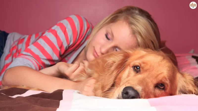 Zeitmanagement für Jugendliche: Hund, Schule und Freizeit in Balance