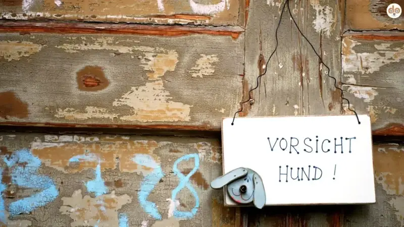 Hunde als Schutz vor Einbrechern – Mythos oder Realität?