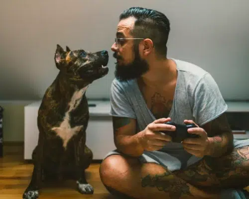 Videospiele mit Hunden, Mann spielt im Wohnzimmer Xbox, Hund sitzt neben ihm