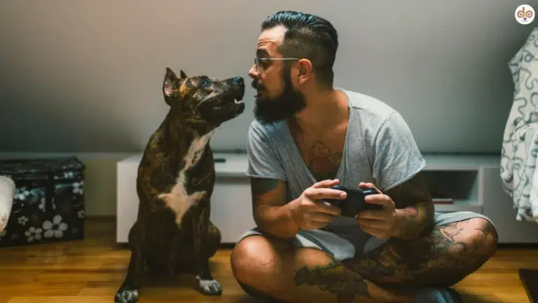 Videospiele mit Hunden, Mann spielt im Wohnzimmer Xbox, Hund sitzt neben ihm