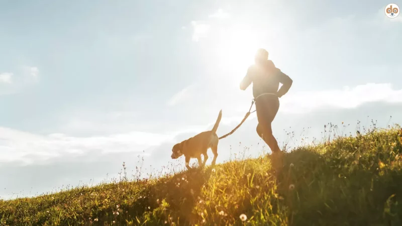 Zugsport im Alltag: So wird das Training Teil deiner Routine