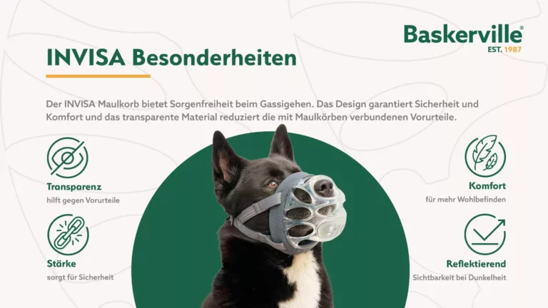 Baskerville Maulkorb Invisa