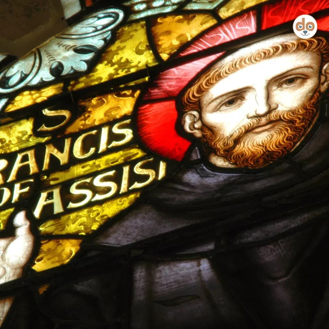 Darstellung Franziskus von Assisi auf Buntglasfenster