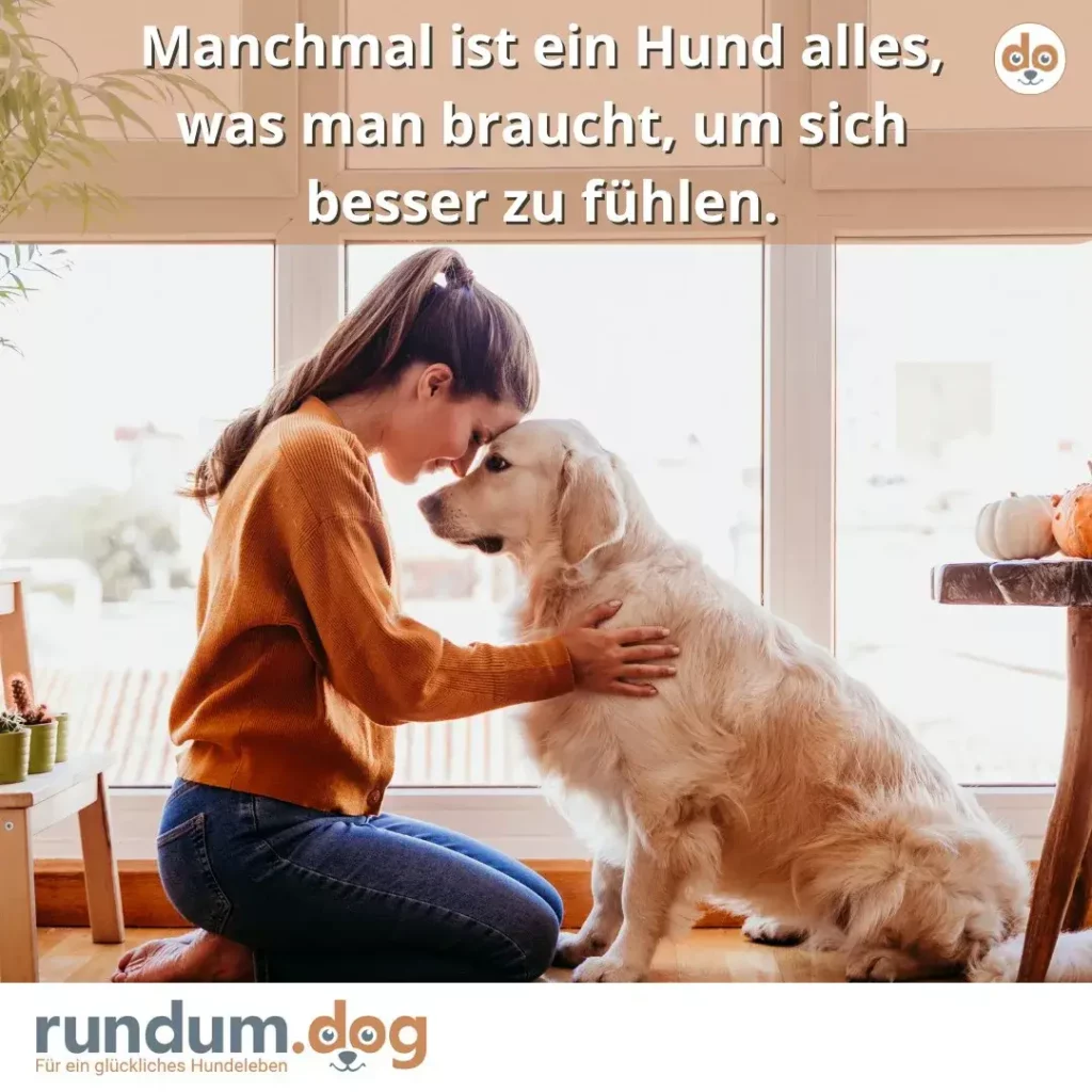 Frau in orangem Pullover kniet vor hellem Golden Retriever, beide schauen sich ins Gesicht