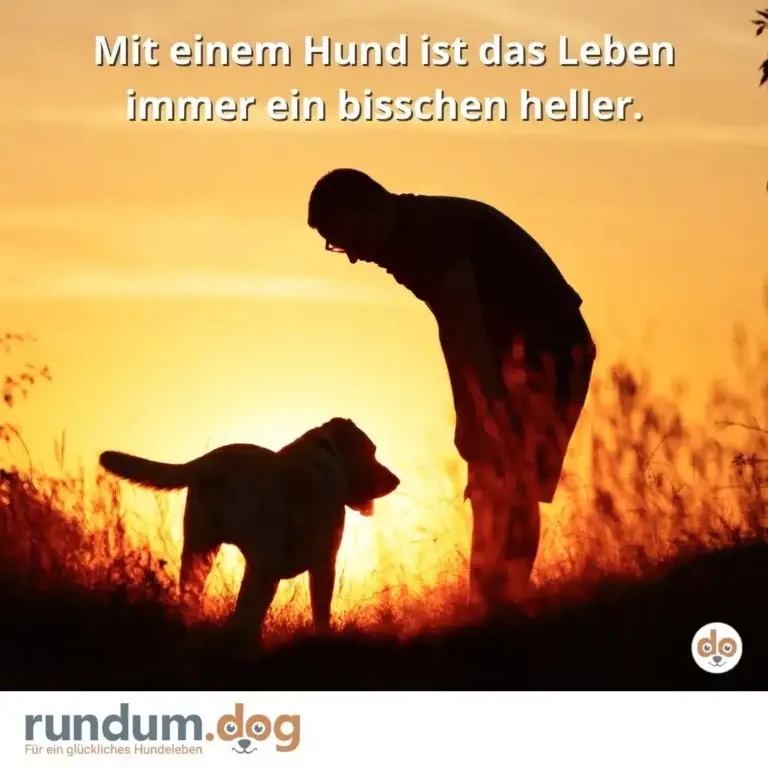 Silhouette eines Mannes und eines Hundes bei Sonnenuntergang in einem Feld