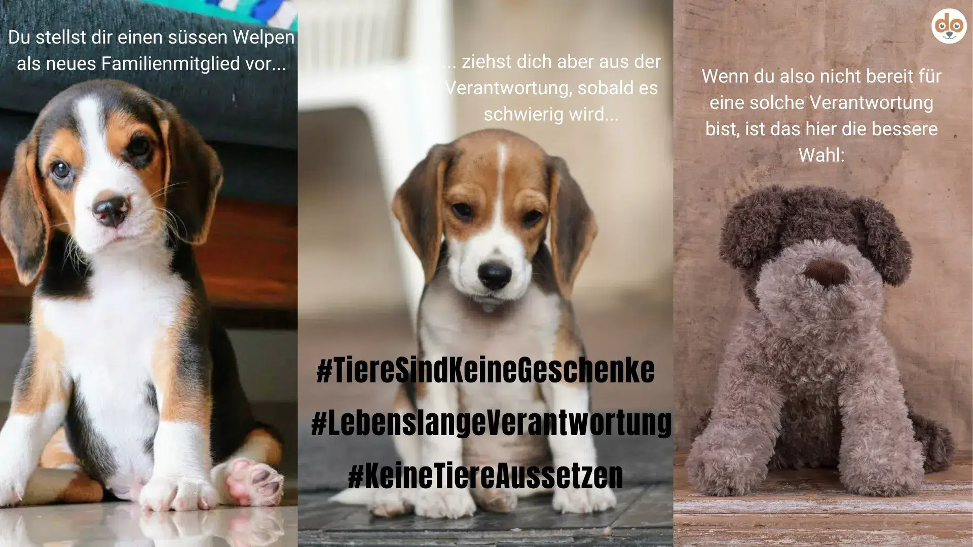 Story-Line in Bildern Welpe Adoption Lebenslange Verantwortung Tiere sind keine Geschenke Stofftier