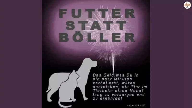 Futter statt Böller: 1x Böller sparen, ein Hund für 5 Monate versorgt