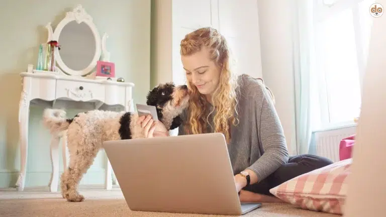 Vergleich Schweizer Tierversicherungen