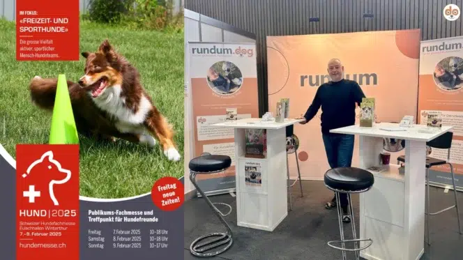 Zusammenschnitt von Flyer Schweizer Hundefachmesse 2025 und Impression Messestand rundumdog 2024