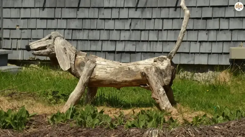 Hundespielzeug aus Holz selber machen, Tipps zu Einfachheit und Sicherheit