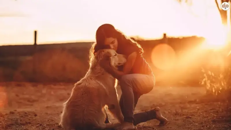 Das Dog Aging Project – Die Wissenschaft hinter dem Alterungsprozess von Hunden