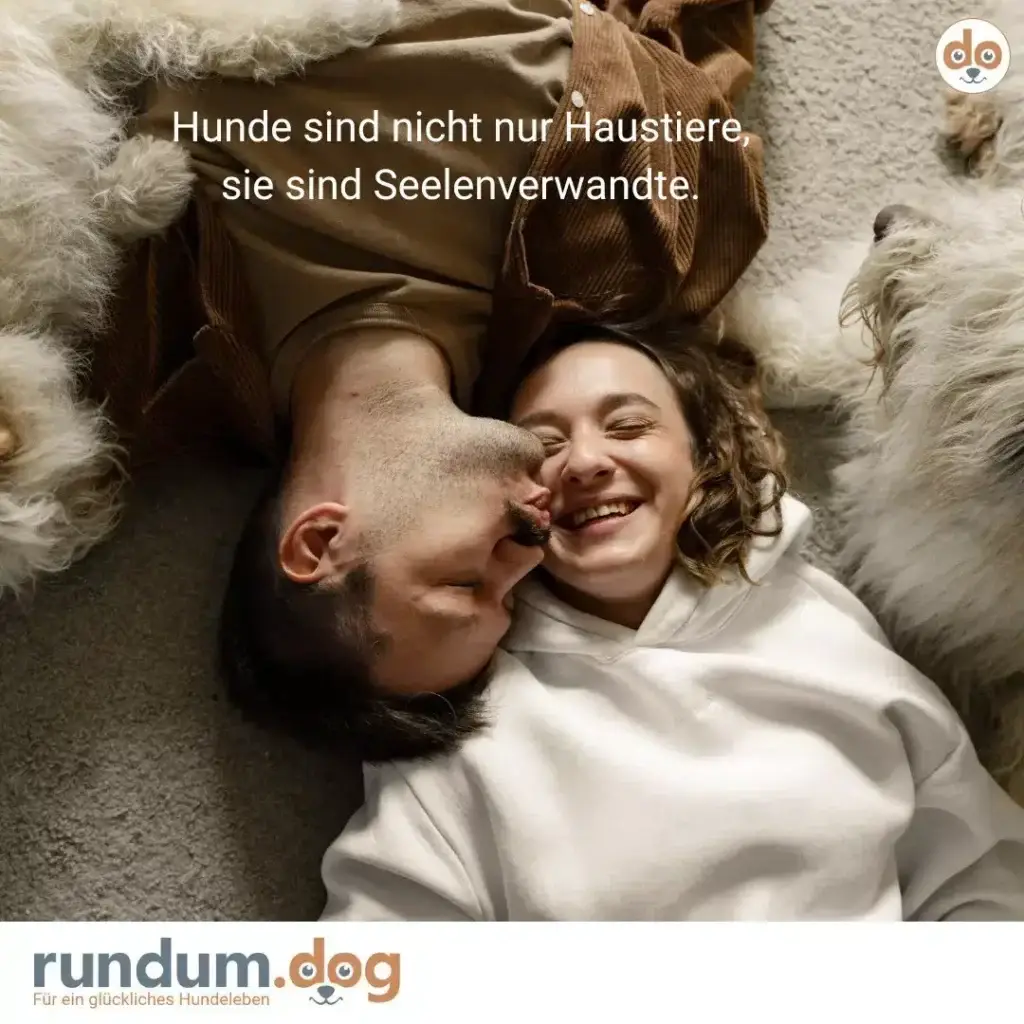 Zwei Menschen liegen lachend auf einem Teppich, umgeben von zwei flauschigen Hunden in Creme- und Brauntönen