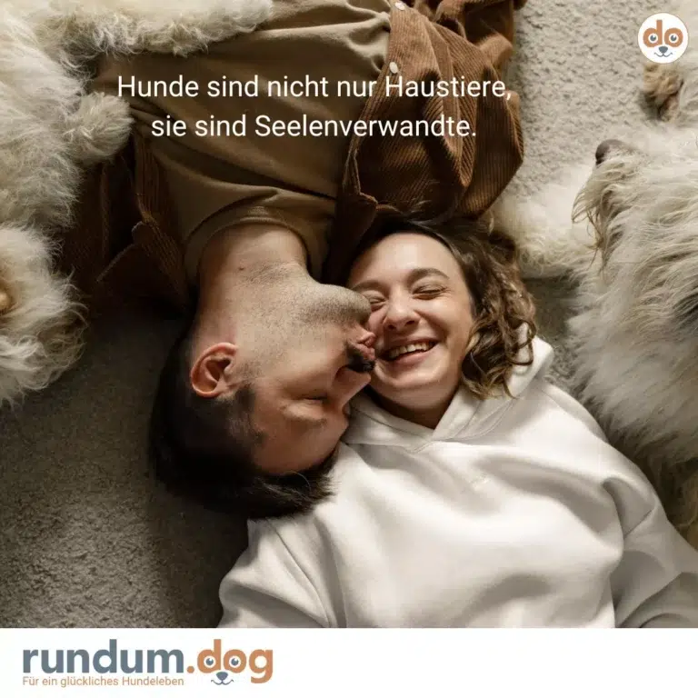 spruch hund haustier seelenverwandte