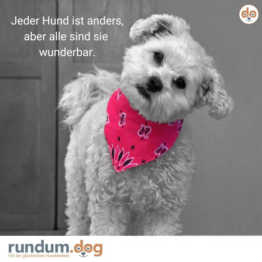 spruch jeder anders wunderbar