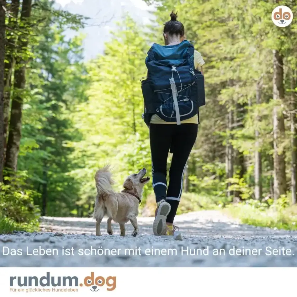 Frau jogging mit kleinem hellbraunem Hund auf Waldweg, beide in Bewegung
