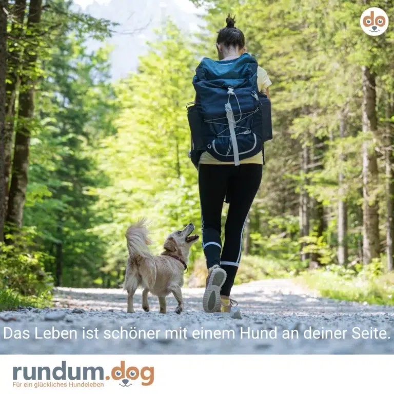 spruch leben schoener hund seite