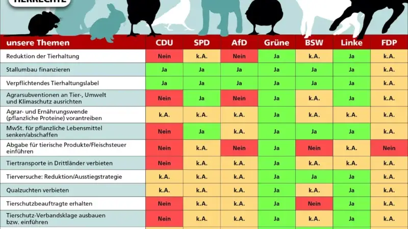 Bundestagswahl 2025: Welche Tierschutzpläne verfolgen die Parteien?