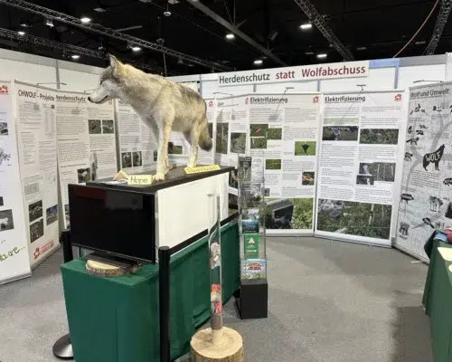 hund2025-00003