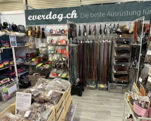 hund2025-00007