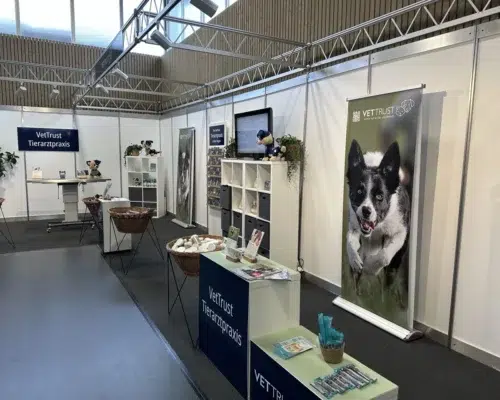 hund2025-00023