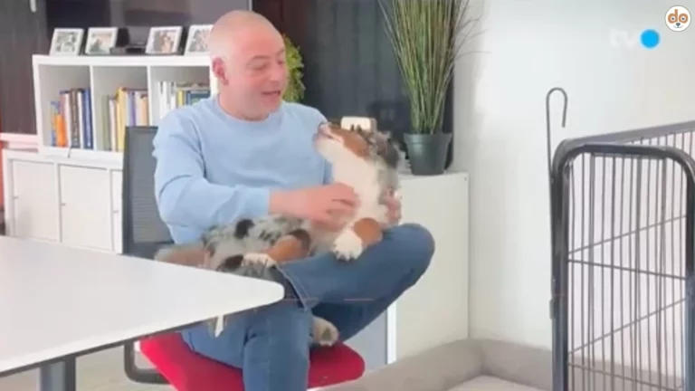 TVO Bericht Welpenhandel