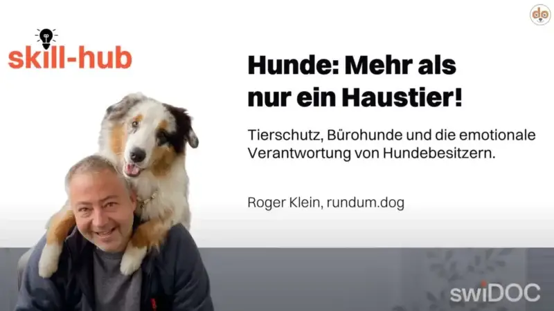 Interview: Die Vision hinter rundum.dog & Tierschutz im digitalen Zeitalter