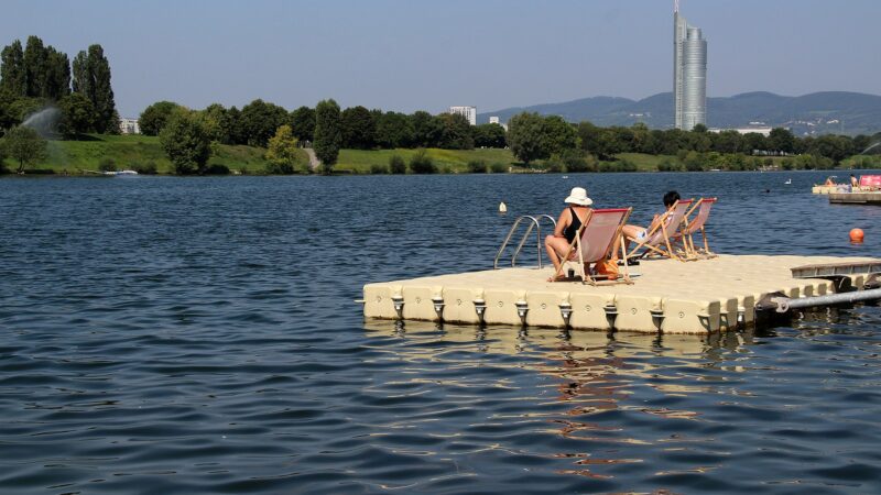 Donauinsel: Wiens Hunde-Freiraum am Wasser