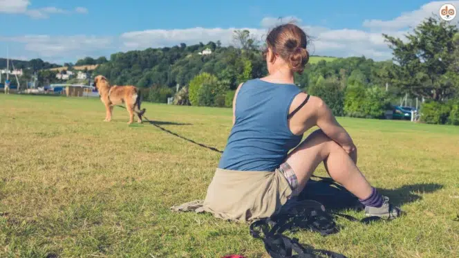 Frau mit Leonberger Hund im Park, Hunde als Begleitschutz für Frauen