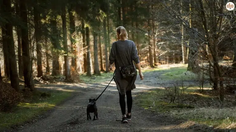 Frau beim Waldspaziergang mit ihrem Hund angeleint Brut- und Setzzeit Leinenpflicht DACH