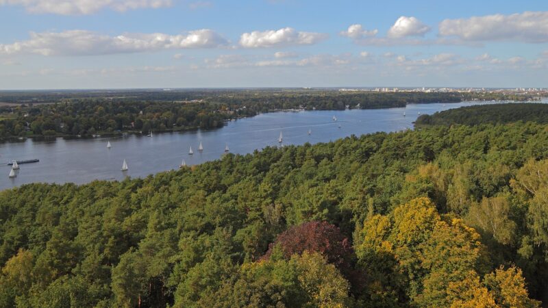 Grunewald: Berlins großes Hundeparadies