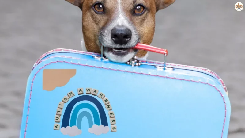 Autismus bei Hunden? Eine Verbindung zum Welt-Autismus-Tag