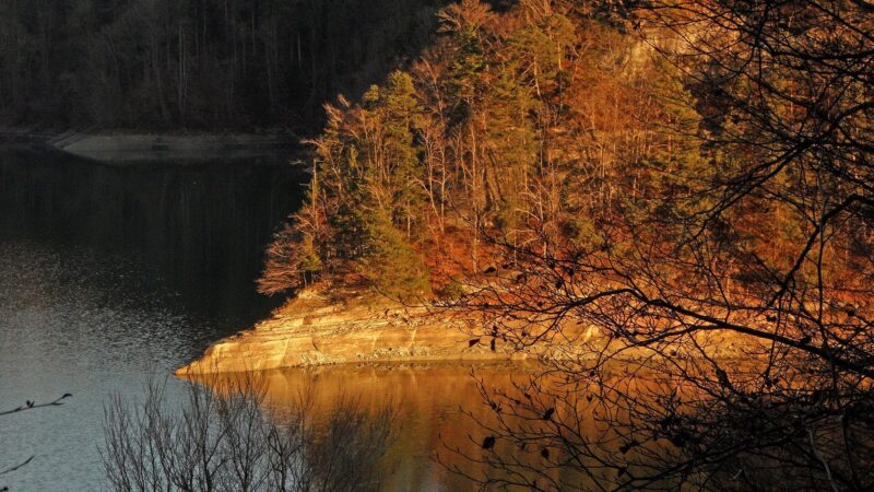 Lac de la Gruyère: zur Inselruine Ogoz