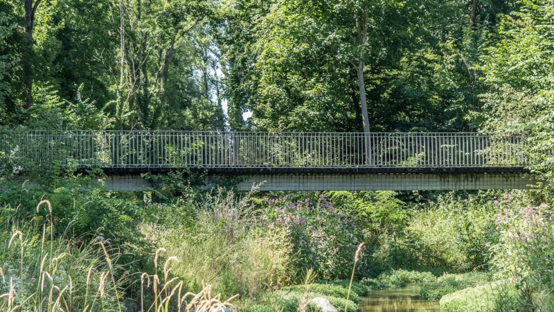 Murg-Auen-Park Frauenfeld: Natur mitten in der Stadt