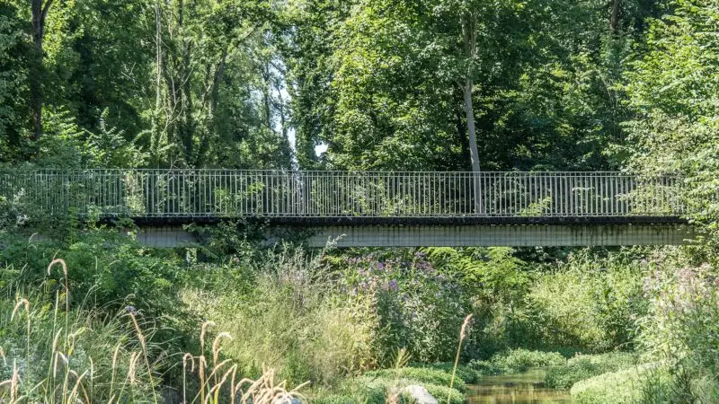 Murg-Auen-Park Frauenfeld: Natur mitten in der Stadt - murg auen park frauenfeld