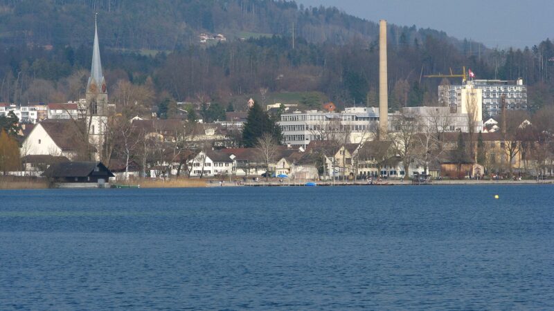 Pfäffikersee-Rundweg: Moor, Schilf und ganzjährige Leinenpflicht