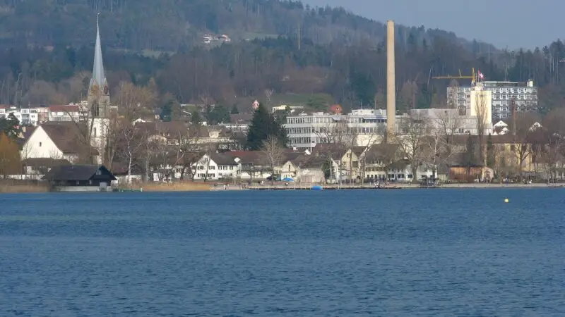 Pfäffikersee-Rundweg: Moor, Schilf und ganzjährige Leinenpflicht - pfaeffikersee rundweg