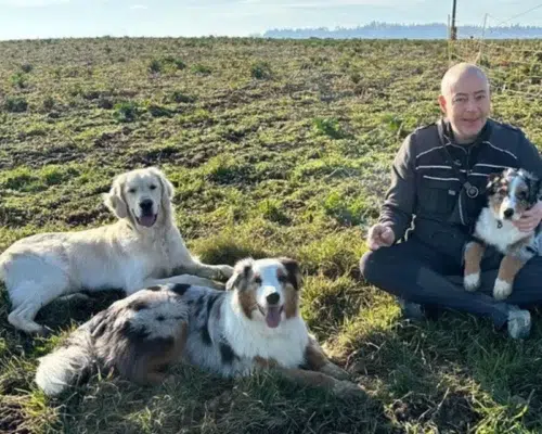 Roger, Mailo, Sunny & King auf Wiese