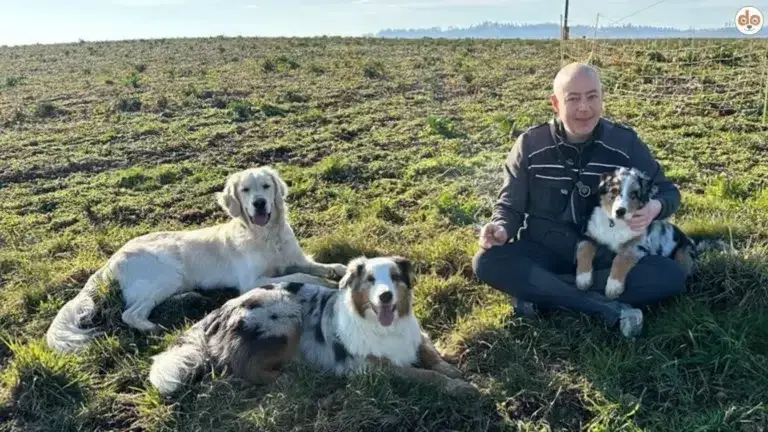 Roger, Mailo, Sunny & King auf Wiese