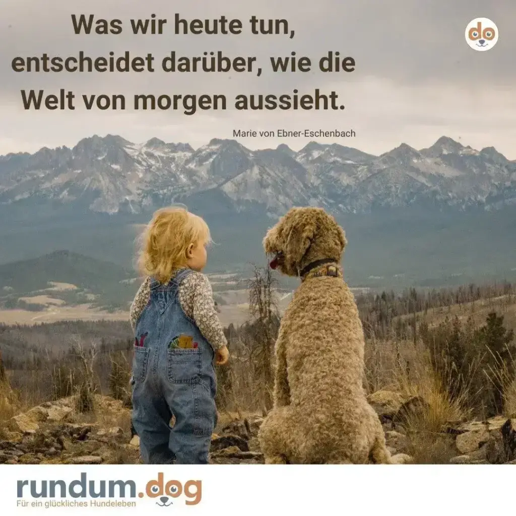 Kleines Kind und brauner lockiger Hund stehen nebeneinander auf Bergkuppe und blicken auf Berglandschaft mit Wald