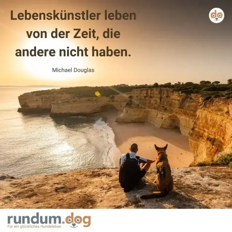 Person mit Rucksack sitzt neben Hund auf Klippe, beide blicken auf Meeresbucht mit Felsenküste bei Sonnenuntergang
