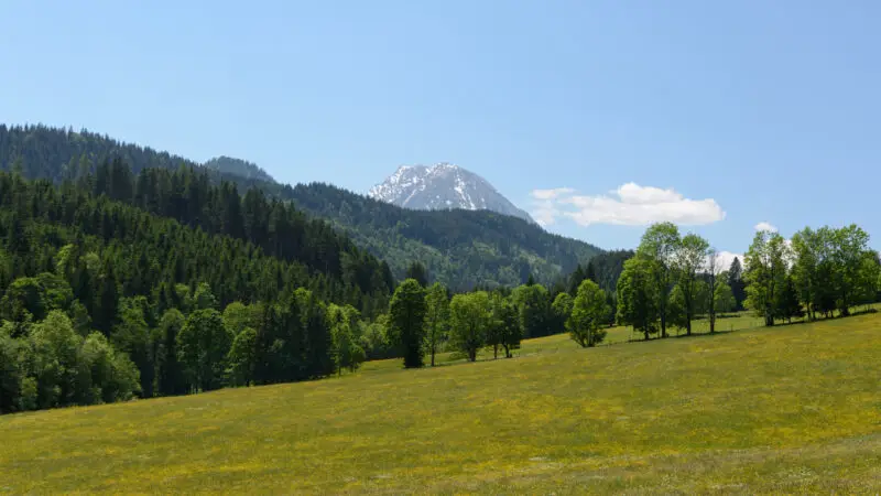 Die 10 schönsten Wanderwege Österreich mit Hund - Grimming von WC3B6rschachwald 04