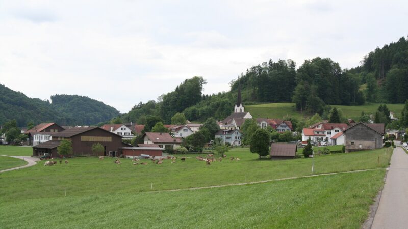 Bichelsee-Rundweg: kleine Runde im Tannzapfenland