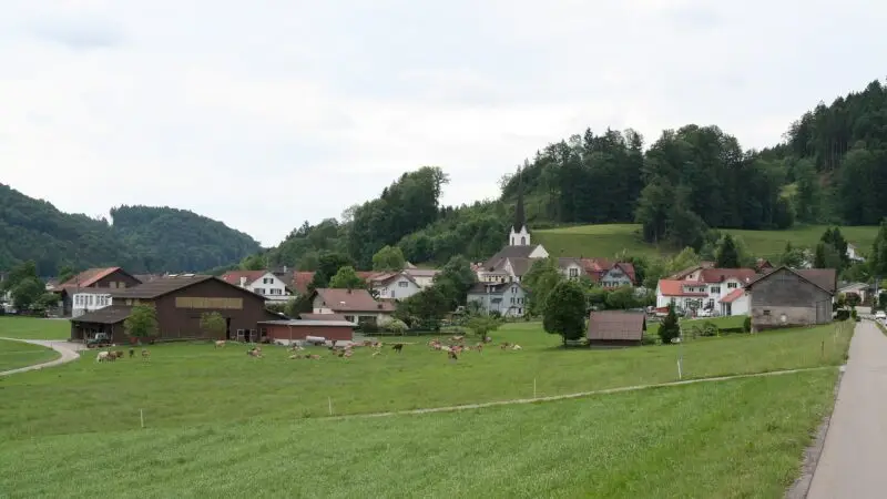 Bichelsee-Rundweg: kleine Runde im Tannzapfenland - bichelsee rundweg tannzapfenland