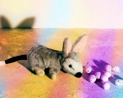 Osterbräuche international Bilby Stofftier Australien mit Vogeleiern in Osterfarben