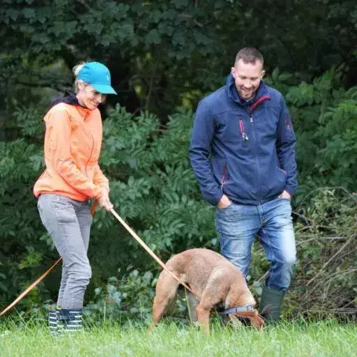 Hundeschule Rosenheim - bild derbegleithund rosenheim