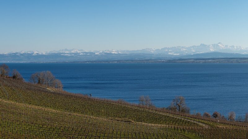 Bodensee-Uferweg: Romanshorn nach Kreuzlingen