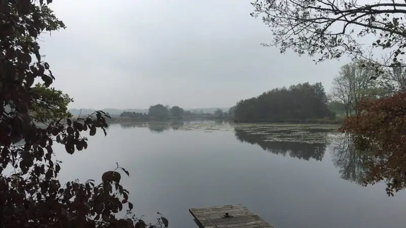 Bommer Weiher: stille Runde durchs Naturschutzgebiet - bommer weiher rundweg