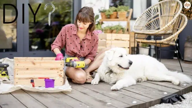 DIY Trainingszubehör für Hunde, Frau werkelt auf Terrasse an Holzkiste